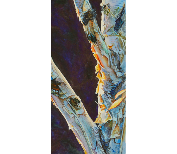 "Paper Birch" by Beverly Fotheringham